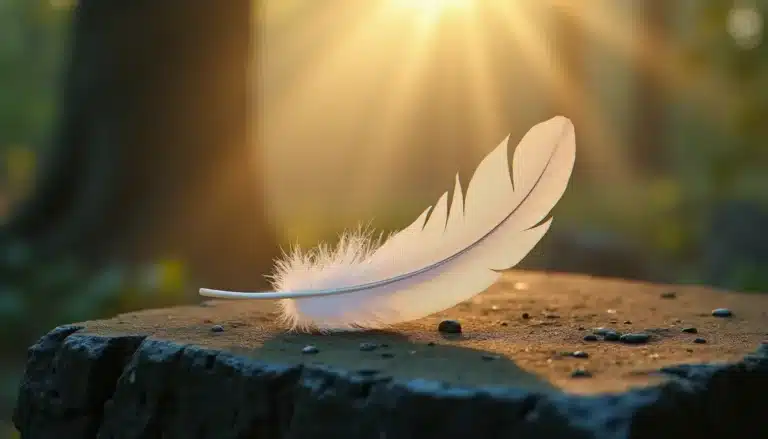Plume blanche posée sur une pierre ancienne dans une clairière brumeuse au lever du soleil, illustrant la symbolique plume dans les traditions spirituelles