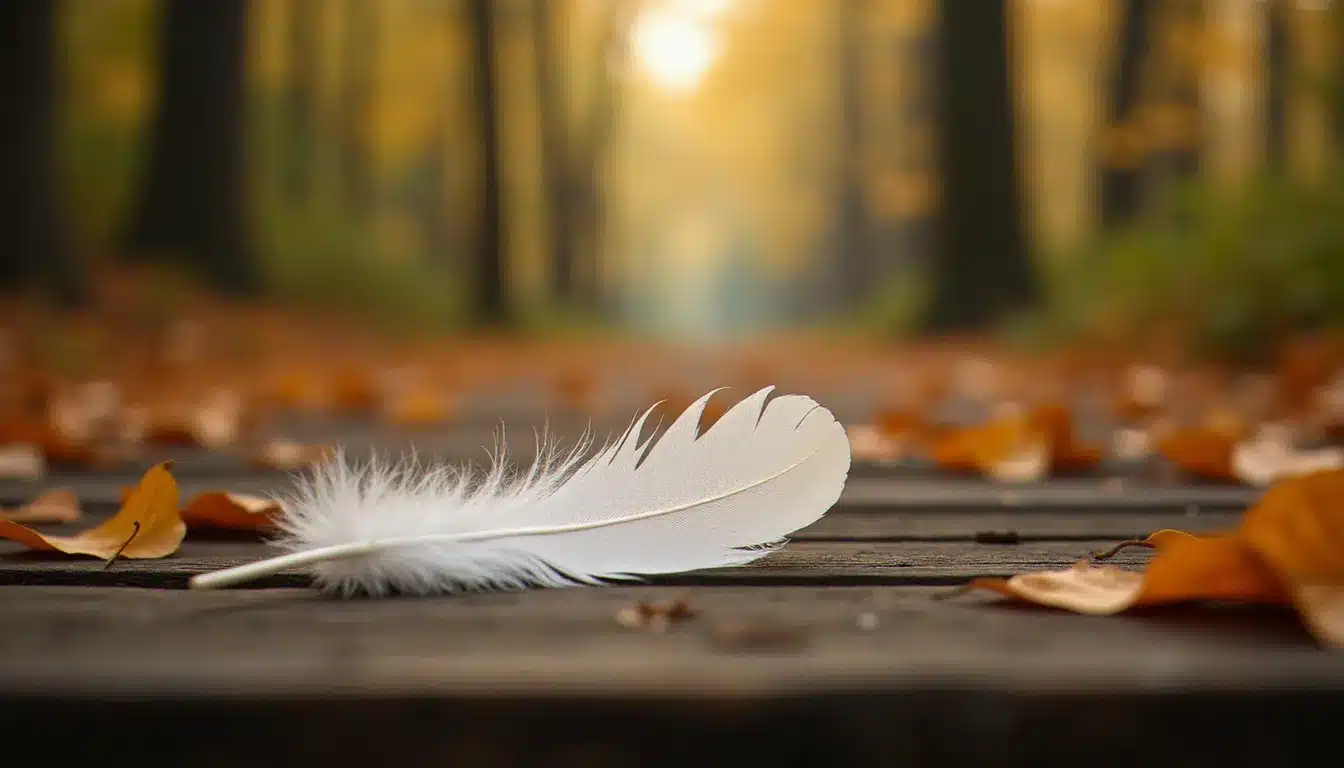 Une plume blanche posée sur un sentier en bois en forêt, lumière matinale dorée — que cela signifie quand on trouve une plume au sol