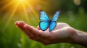 Un papillon bleu aux ailes irisées posé sur une main ouverte dans la lumière dorée du matin, symbolisant la papillons bleu signification et le message spirituel de transformation