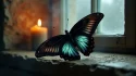 Un papillon noir aux ailes irisées posé sur un rebord de fenêtre en pierre, illustrant la signification du papillon noir comme symbole de transformation spirituelle