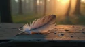 Une plume grise délicate posée sur du bois ancien au bord d'une forêt brumeuse à l'aube, illustrant la signification plume grise dans la spiritualité