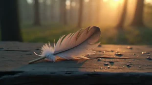 Une plume grise délicate posée sur du bois ancien au bord d'une forêt brumeuse à l'aube, illustrant la signification plume grise dans la spiritualité