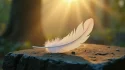 Plume blanche posée sur une pierre ancienne dans une clairière brumeuse au lever du soleil, illustrant la symbolique plume dans les traditions spirituelles