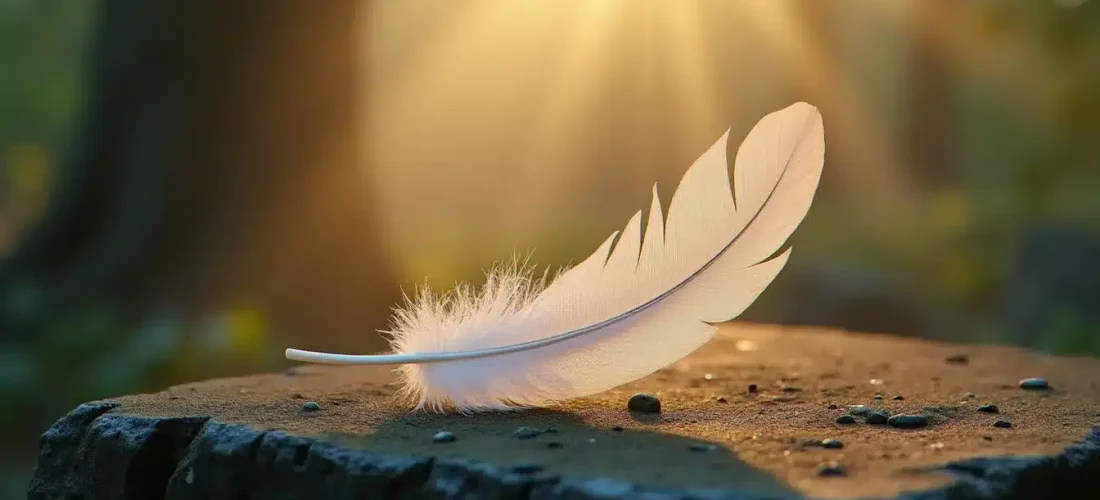 Plume blanche posée sur une pierre ancienne dans une clairière brumeuse au lever du soleil, illustrant la symbolique plume dans les traditions spirituelles